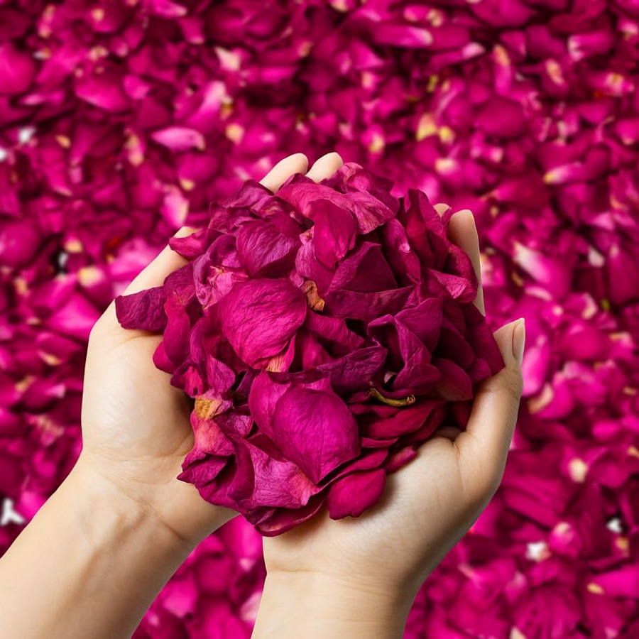 Dried Flower Bulk - Dried Rose Petals Bulk 5oz Natural