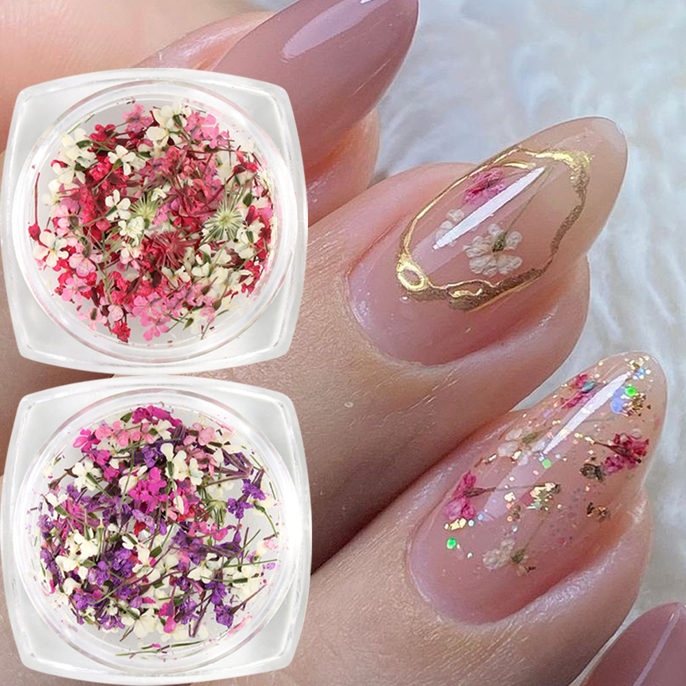 Mixed Colors Gypsophila False  - مراجعة Dried Flower Bulk وسعره