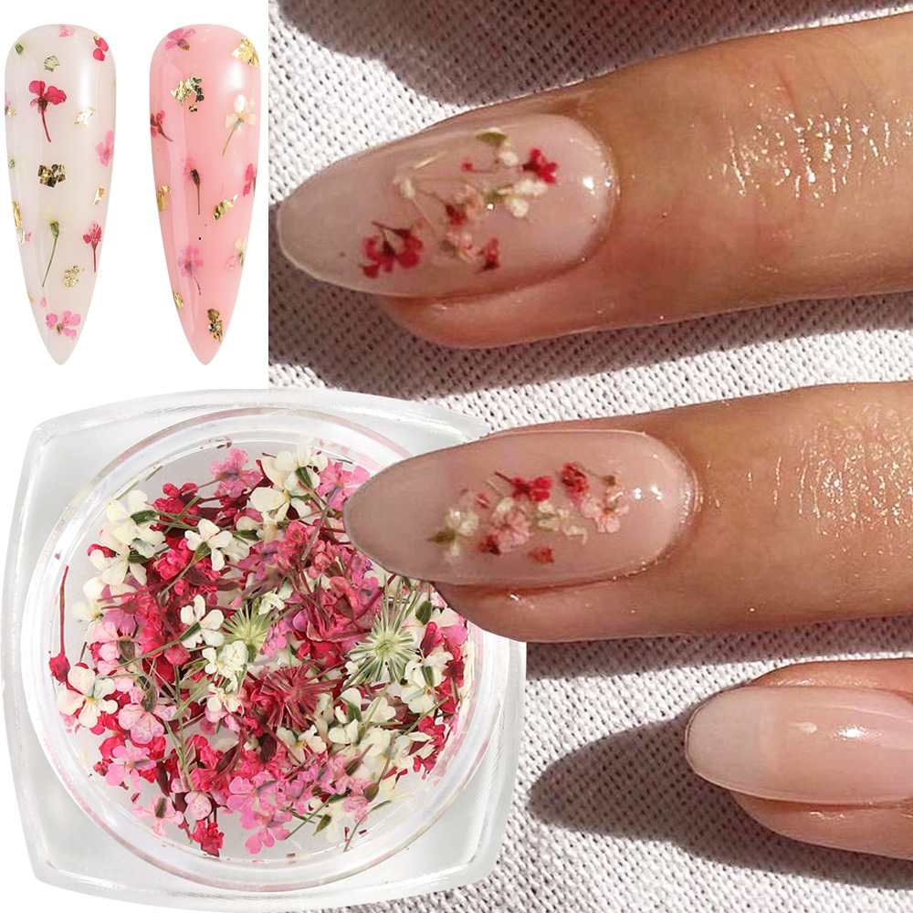 Mixed Colors Gypsophila False  - مراجعة Dried Flower Bulk وسعره