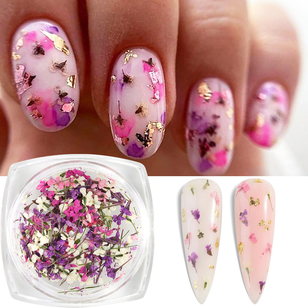 Mixed Colors Gypsophila False  - مراجعة Dried Flower Bulk وسعره