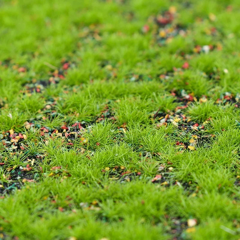 Artificial Turf Moss Simulatio - مراجعة Terrarium Moss Art وسعره