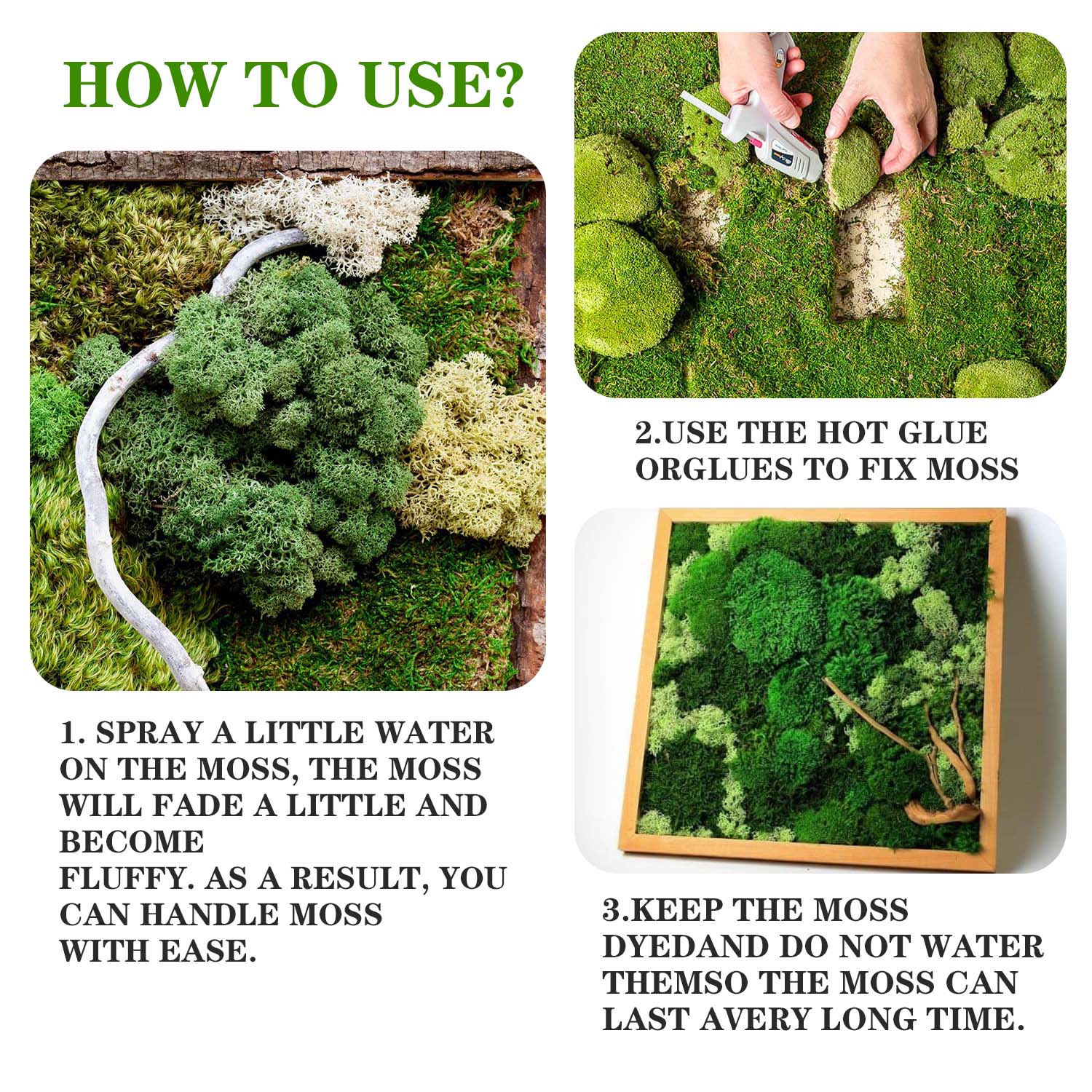 Artificial Green Plants Eterna - مراجعة Terrarium Moss Art وسعره
