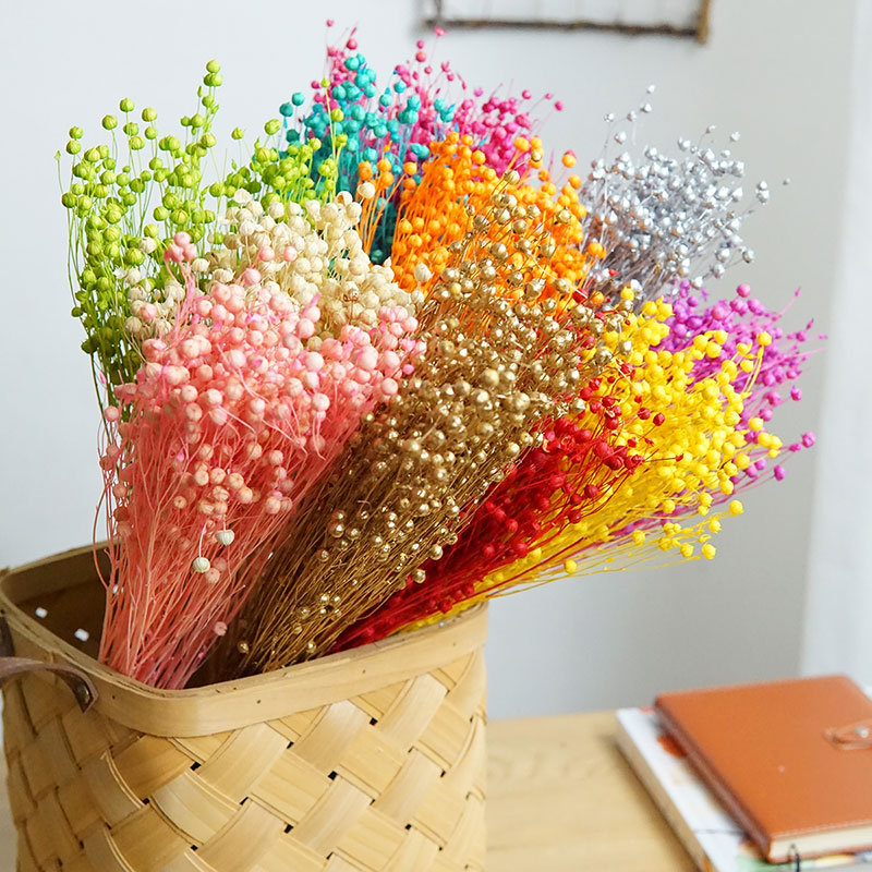 35g/Preserved Ormosia Hosiei N - مراجعة Dried Flower Bulk وسعره