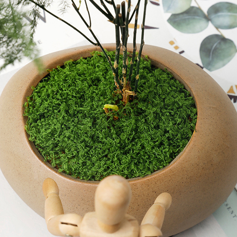 about 20g Artificial Green Pla - مراجعة Terrarium Moss Art وسعره
