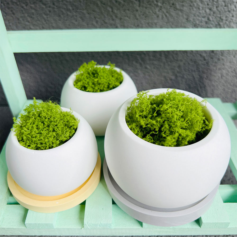 Spherical Flowerpot Silicone M - مراجعة Serving Tray Mold وسعره