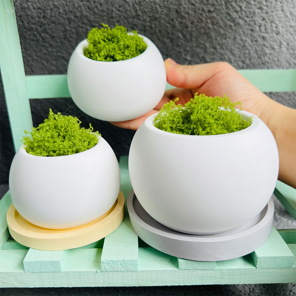Spherical Flowerpot Silicone M - مراجعة Serving Tray Mold وسعره
