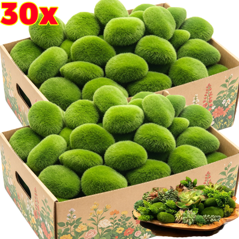 5/30pcs Simulation Moss Stone  - مراجعة Terrarium Moss Art وسعره