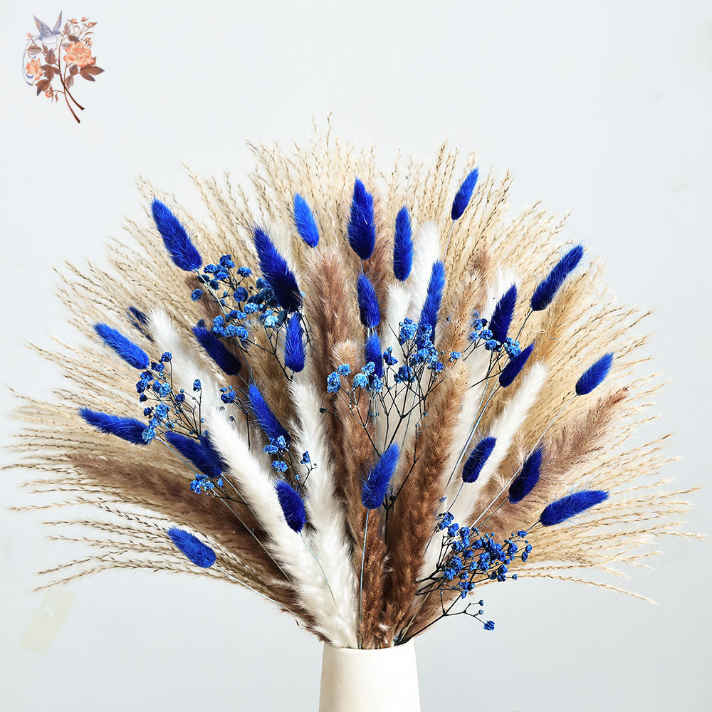70 Stem Blue Fluffly Rabbit Ta - مراجعة Dried Flower Bulk وسعره