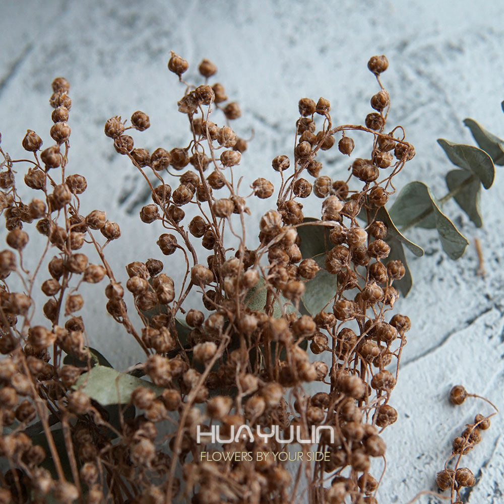 Real Flowers MiNi Bean Preserv - مراجعة Flower Preservation Resin وسعره