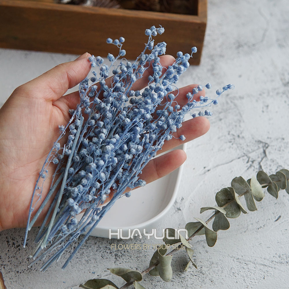 Real Flowers MiNi Bean Preserv - مراجعة Flower Preservation Resin وسعره