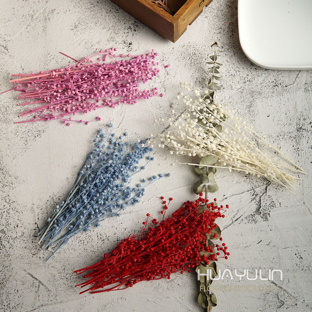 Real Flowers MiNi Bean Preserv - مراجعة Flower Preservation Resin وسعره