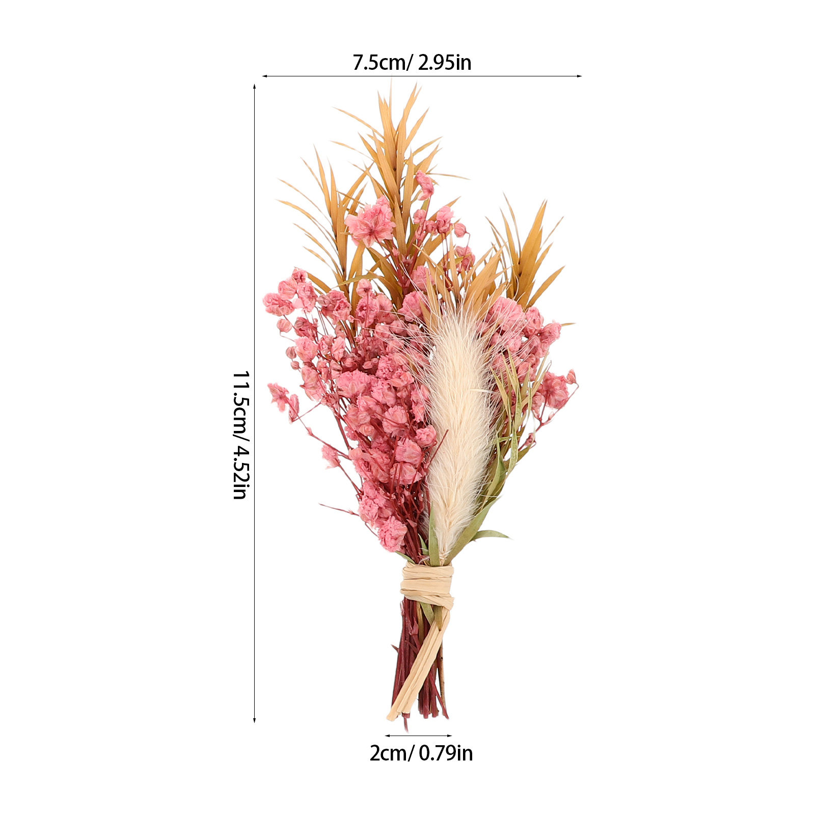 3Pcs Mini Dried Floral Bouquet - مراجعة Dried Flower Bulk وسعره