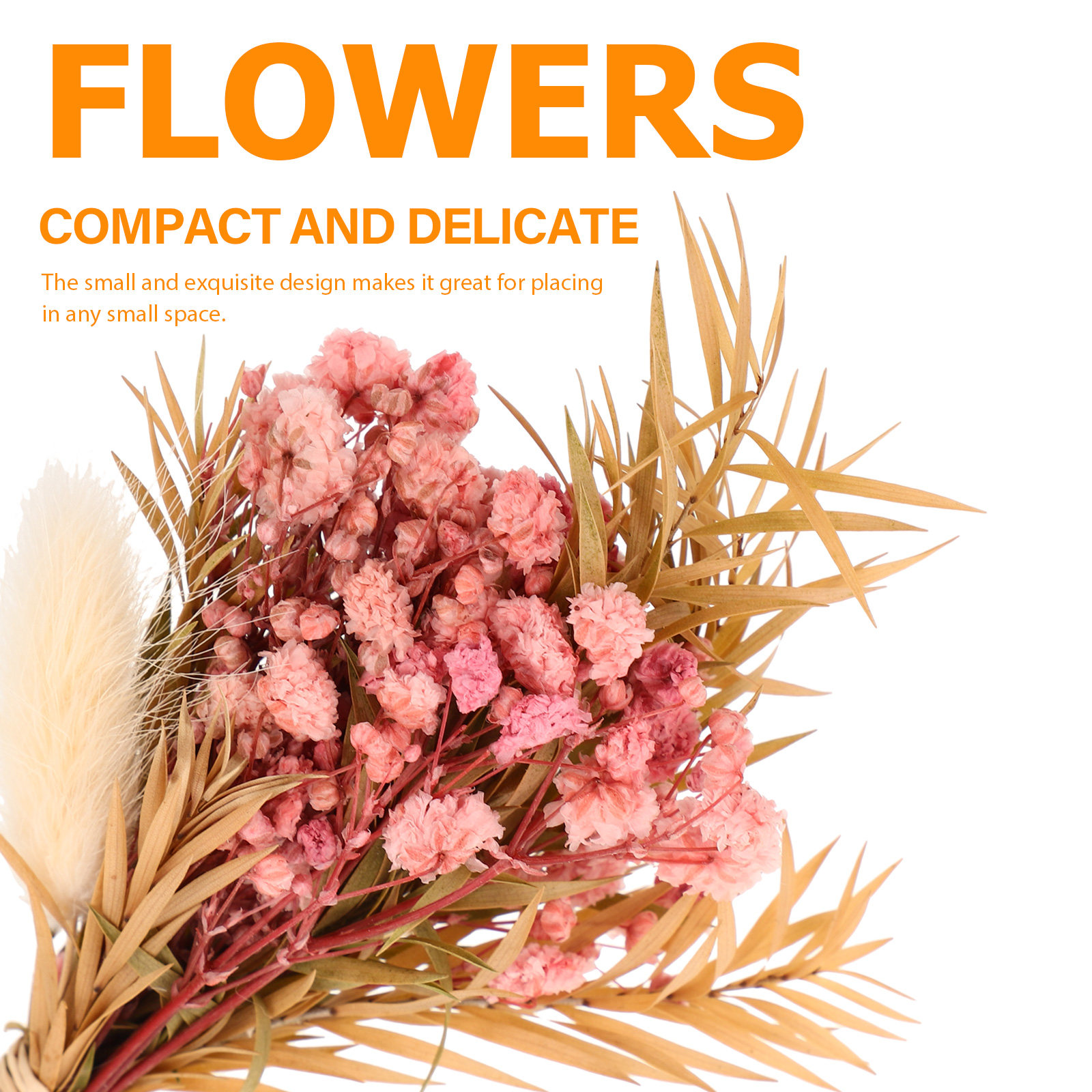 3Pcs Mini Dried Floral Bouquet - مراجعة Dried Flower Bulk وسعره