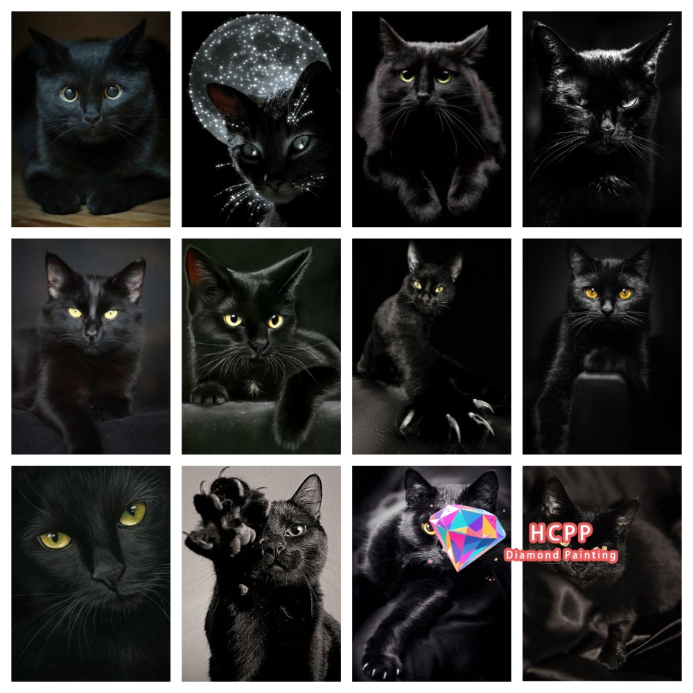 unframe Black Cat Animal Diamo - مراجعة Resin Craft Kit وسعره