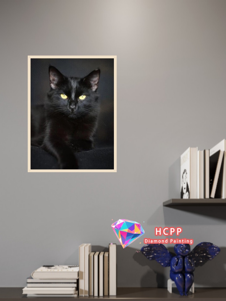 unframe Black Cat Animal Diamo - مراجعة Resin Craft Kit وسعره