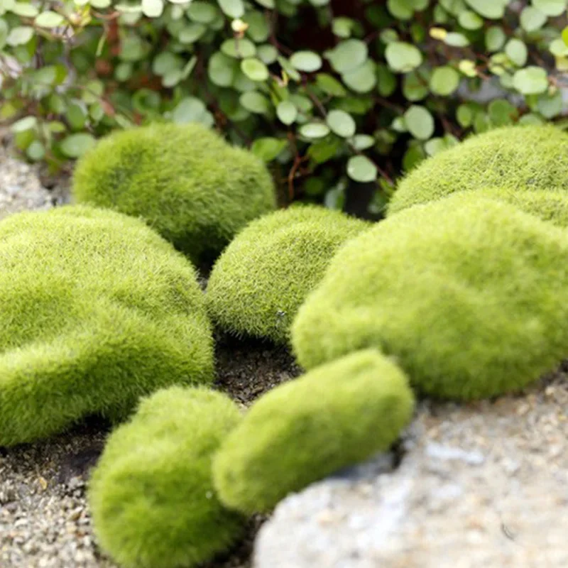 Fake Stone Artificial Moss Roc - مراجعة Terrarium Moss Art وسعره