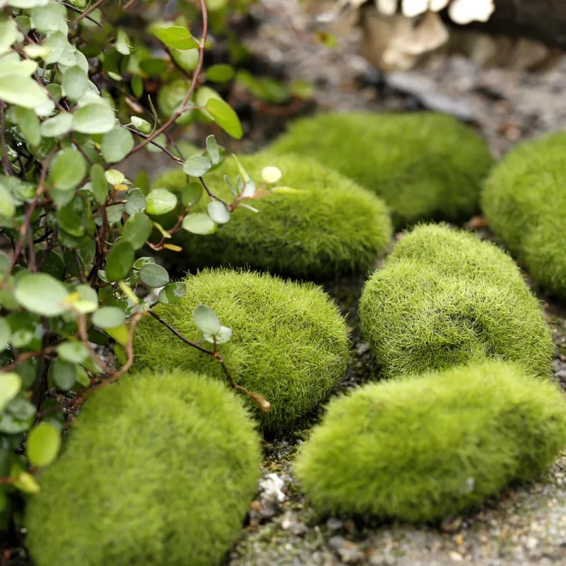 Fake Stone Artificial Moss Roc - مراجعة Terrarium Moss Art وسعره