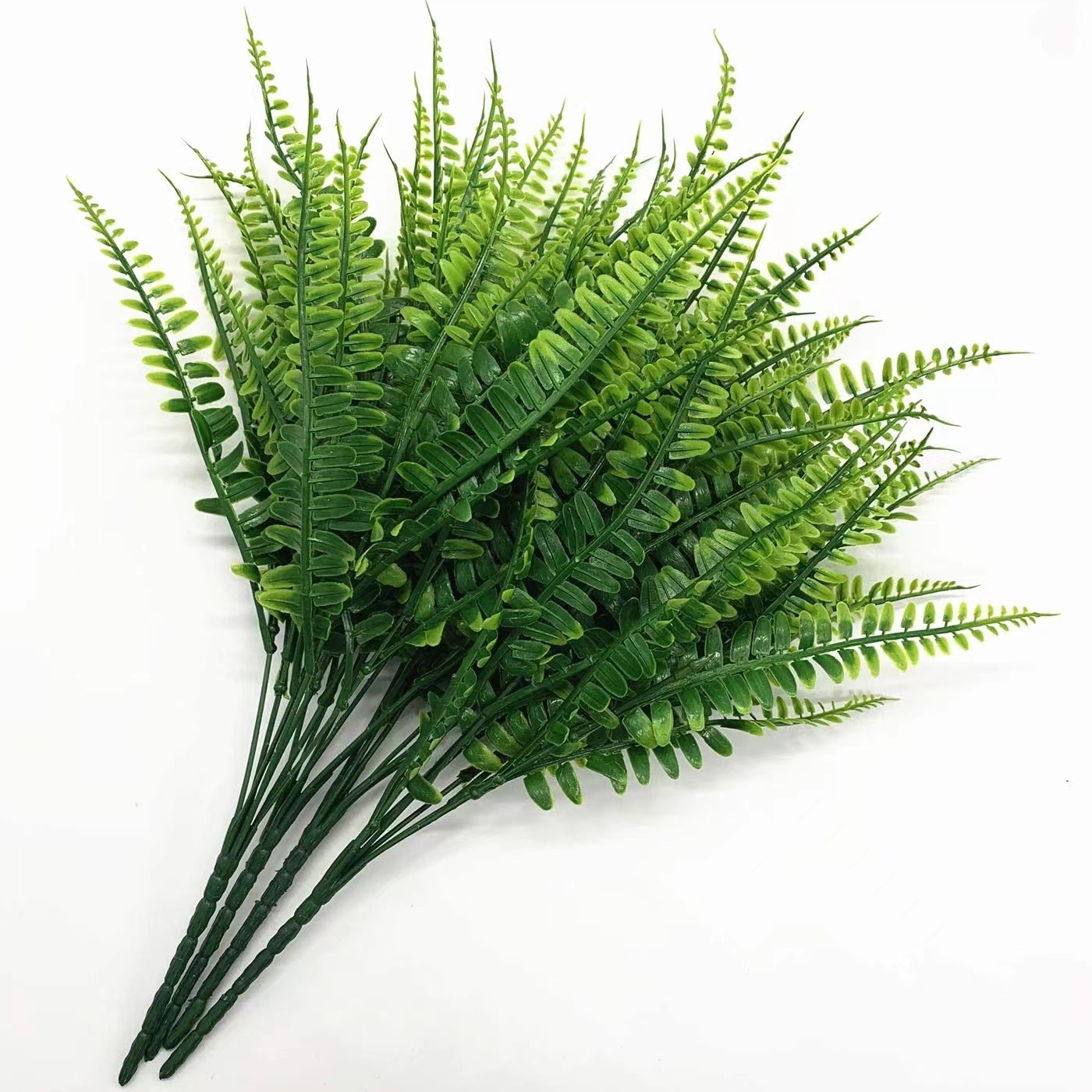 Artificial Persian Ferns Flowe - مراجعة Terrarium Moss Art وسعره