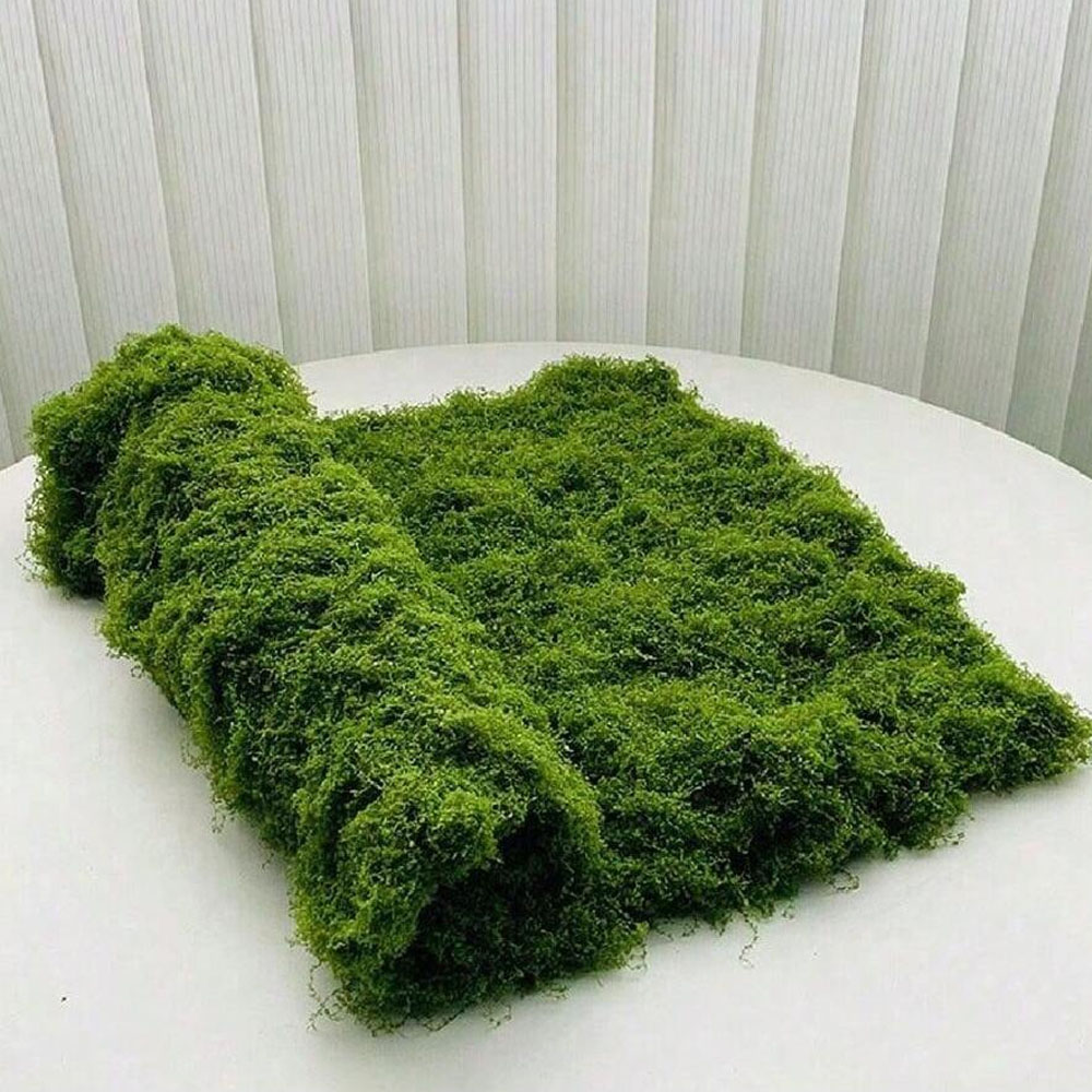 1*1m Fake Moss DIY Crafts Gras - مراجعة Terrarium Moss Art وسعره