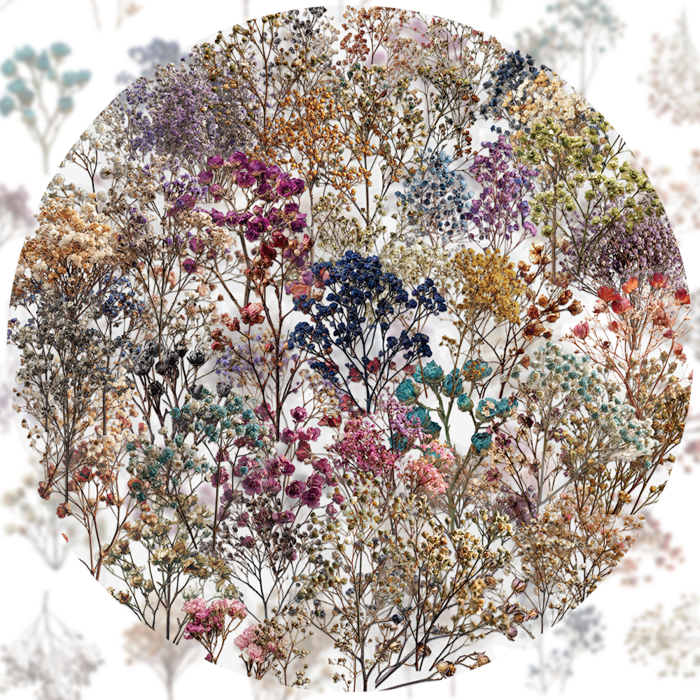 50PCS Retro Color Dried Flower - مراجعة Dried Flower Bulk وسعره