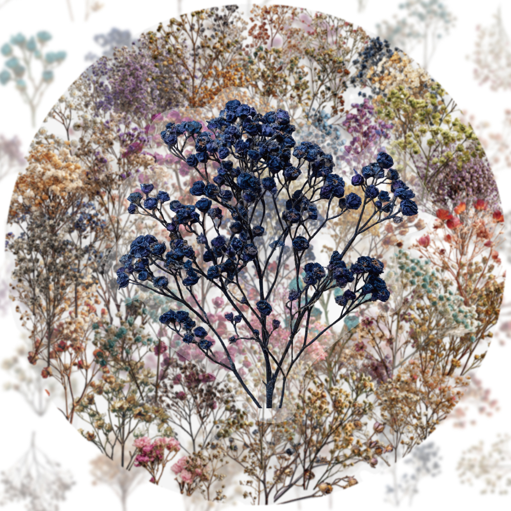 50PCS Retro Color Dried Flower - مراجعة Dried Flower Bulk وسعره