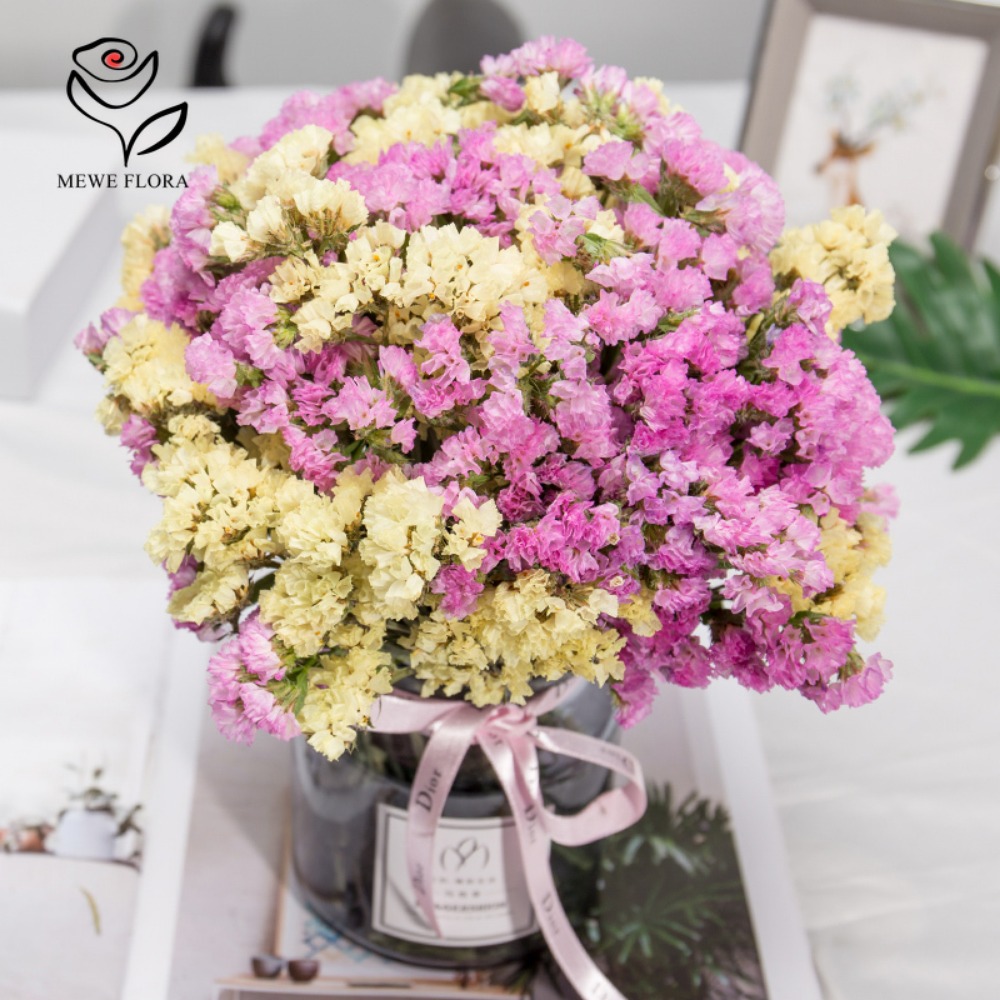 100g Dried Forget Me Not Flowe - مراجعة Dried Flower Bulk وسعره