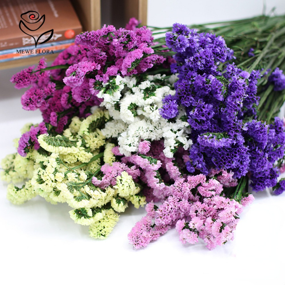 100g Dried Forget Me Not Flowe - مراجعة Dried Flower Bulk وسعره