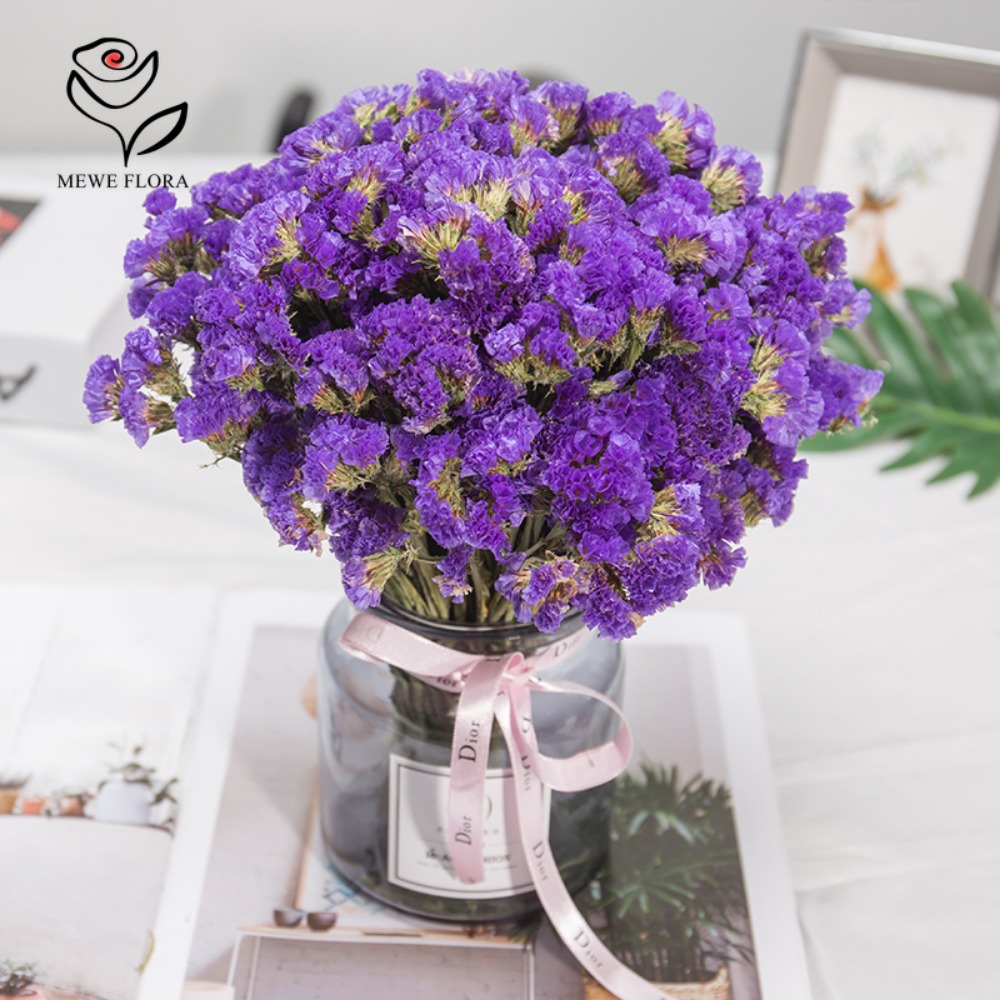 100g Dried Forget Me Not Flowe - مراجعة Dried Flower Bulk وسعره