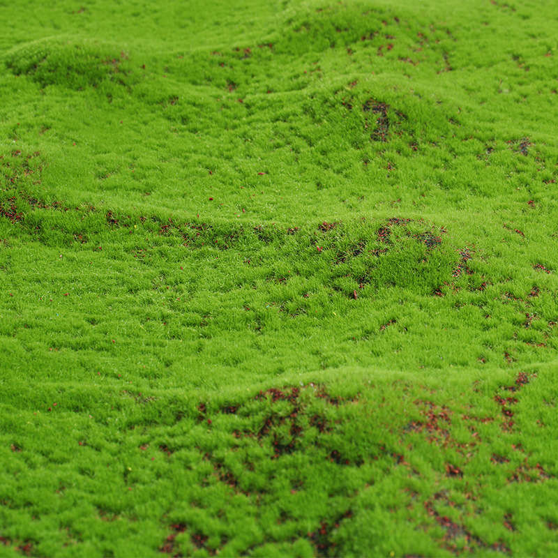 Artificial Moss Fake Green Mos - مراجعة Terrarium Moss Art وسعره