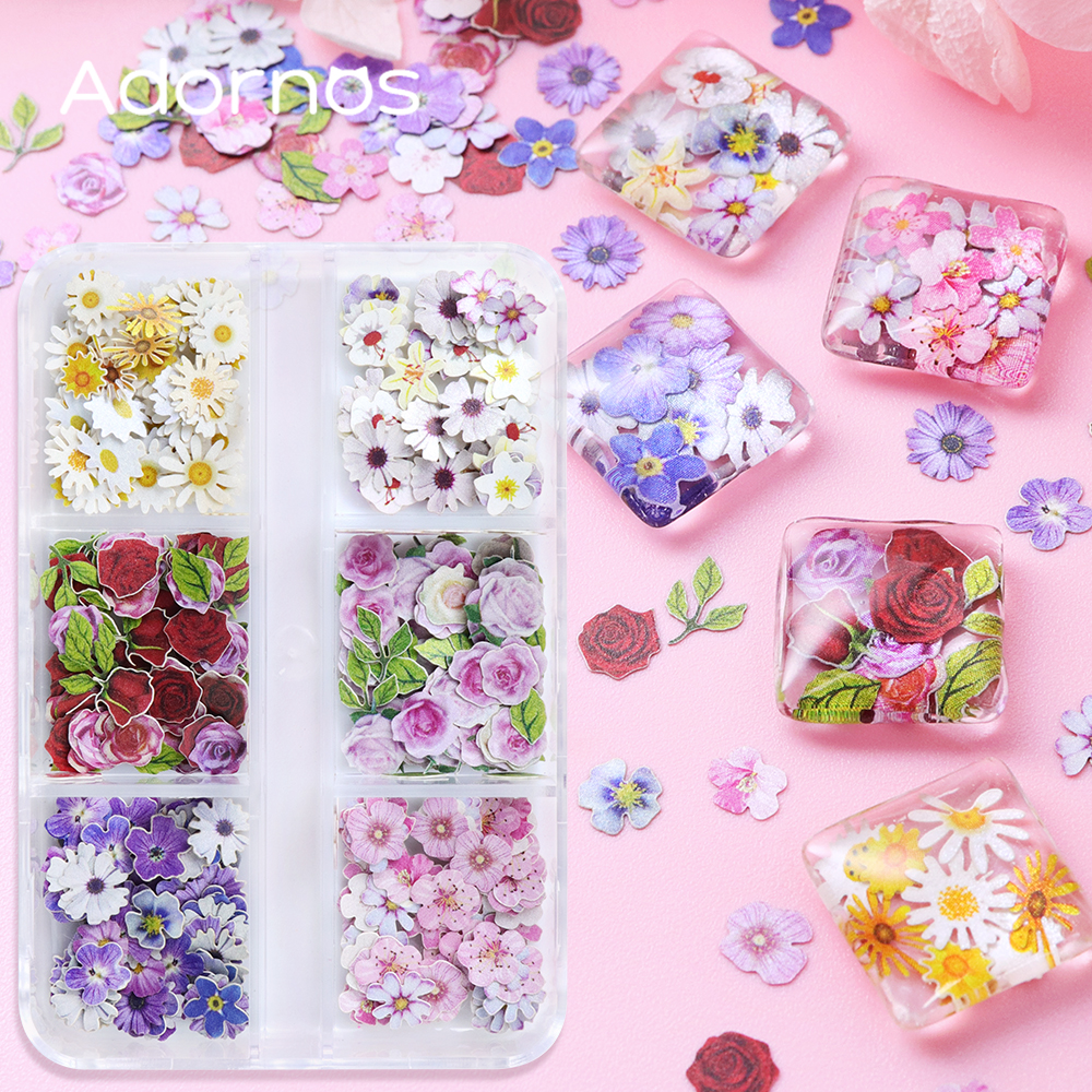 6 Grids Flowers Wood Pulp Chip - مراجعة Flower Preservation Resin وسعره