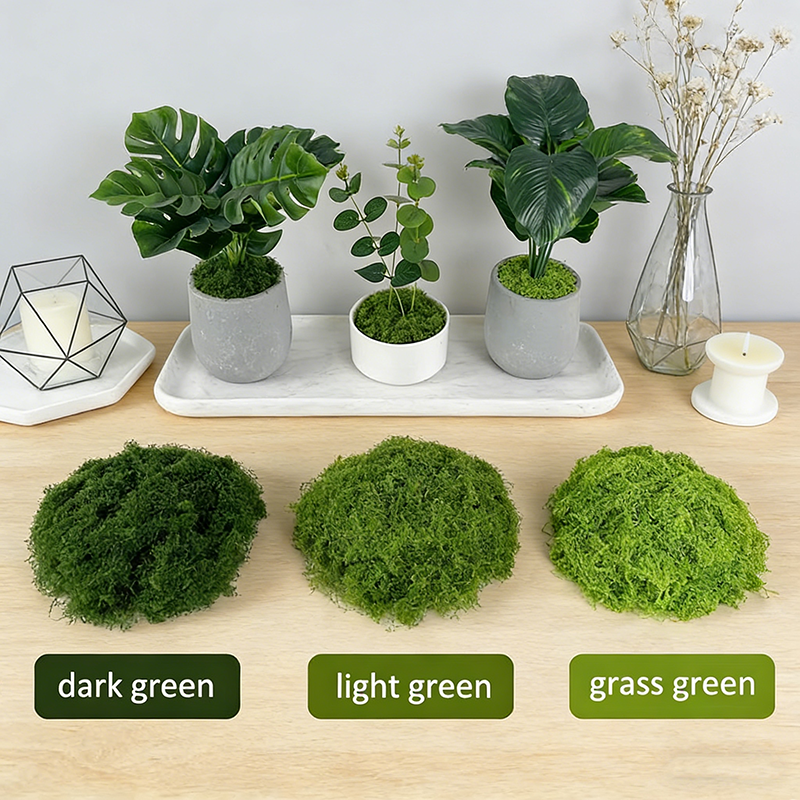 Artificial simulation of moss  - مراجعة Terrarium Moss Art وسعره