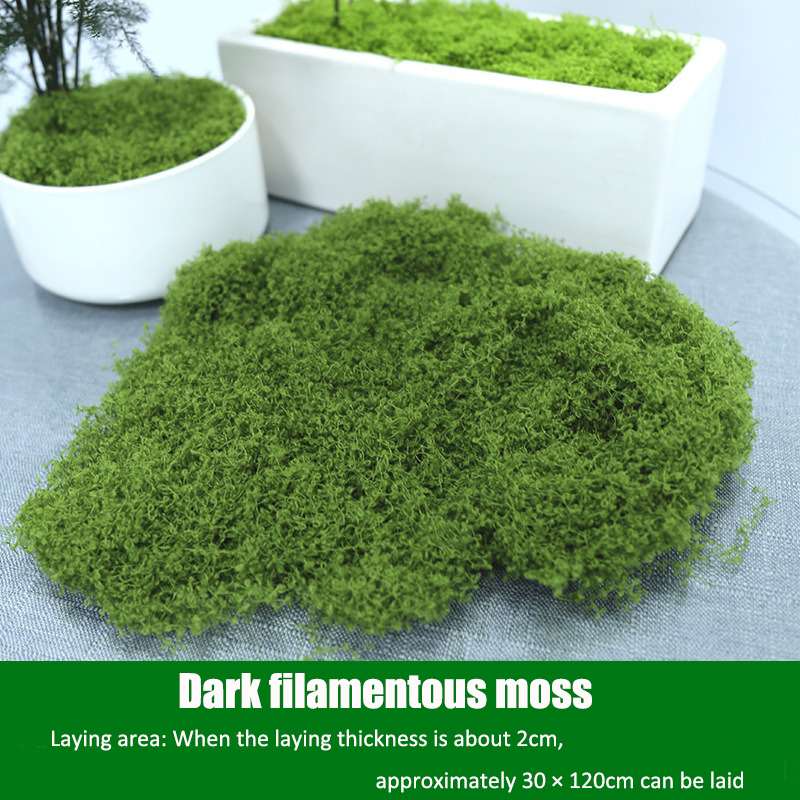 Artificial simulation of moss  - مراجعة Terrarium Moss Art وسعره