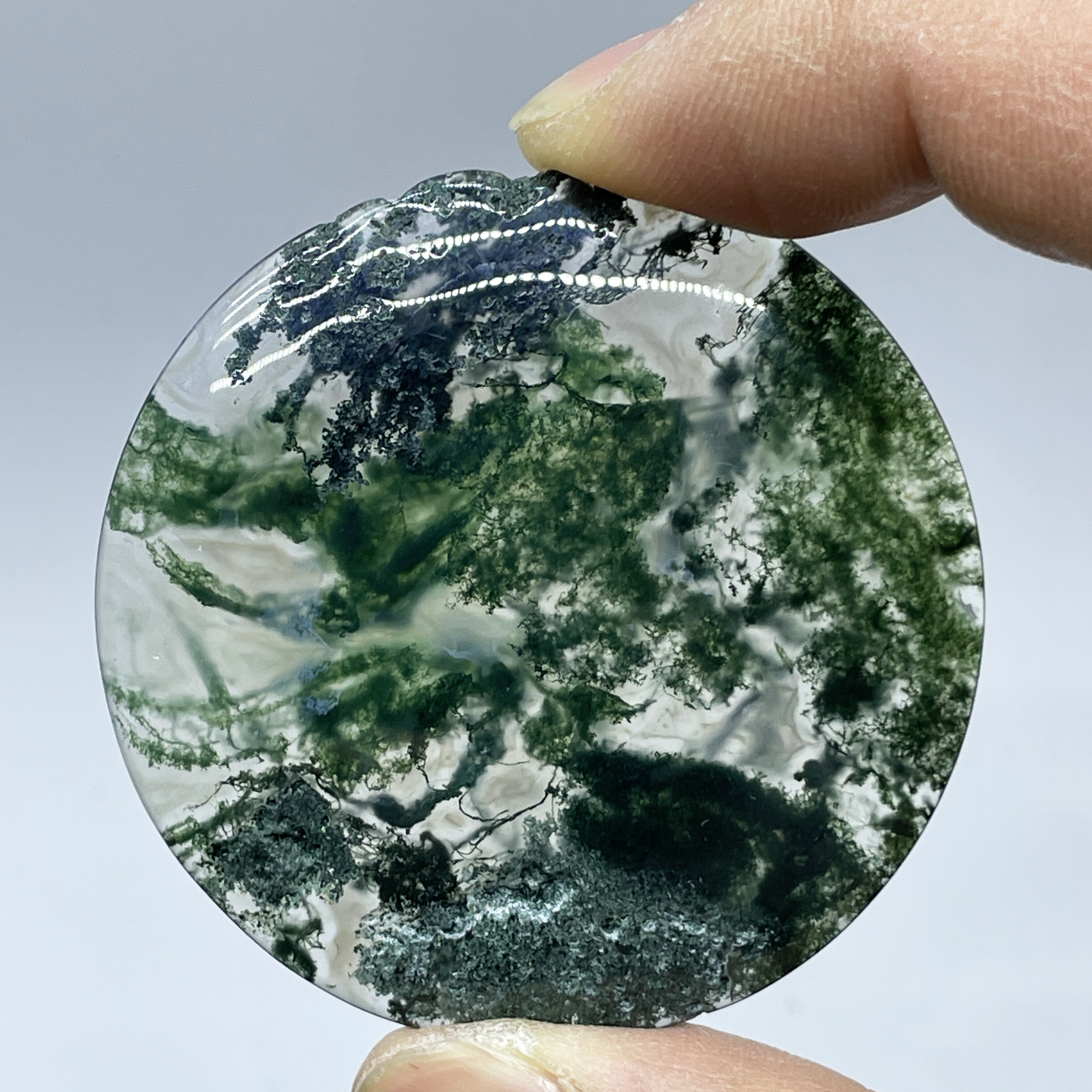 Natural Crystal Moss Agate Wat - مراجعة Terrarium Moss Art وسعره
