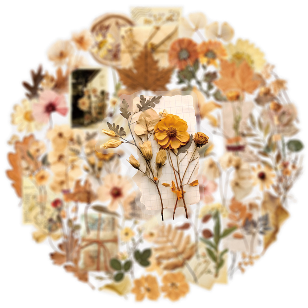 10/30/50pcs Transparent Dried  - مراجعة Dried Flower Bulk وسعره
