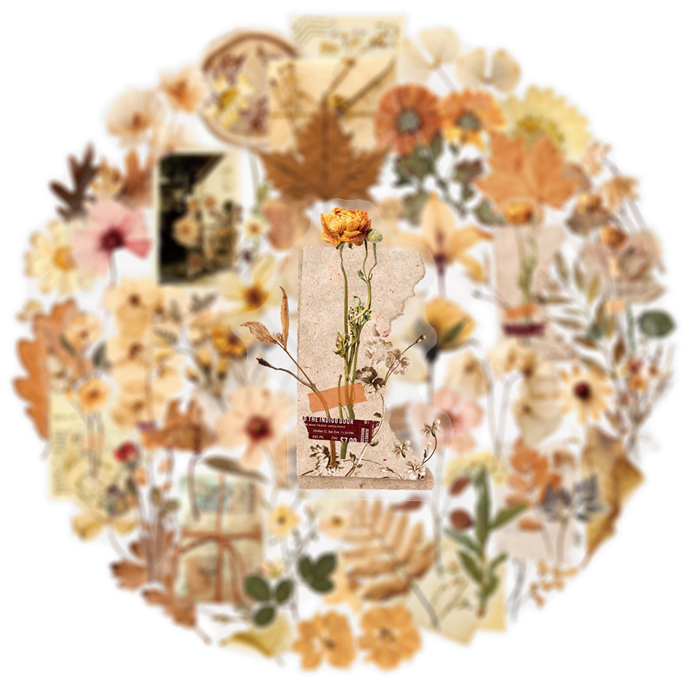 10/30/50pcs Transparent Dried  - مراجعة Dried Flower Bulk وسعره