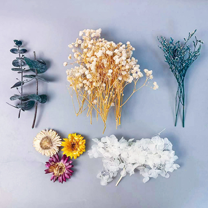 1pack Multifarious Dried Flowe - مراجعة Dried Flower Bulk وسعره