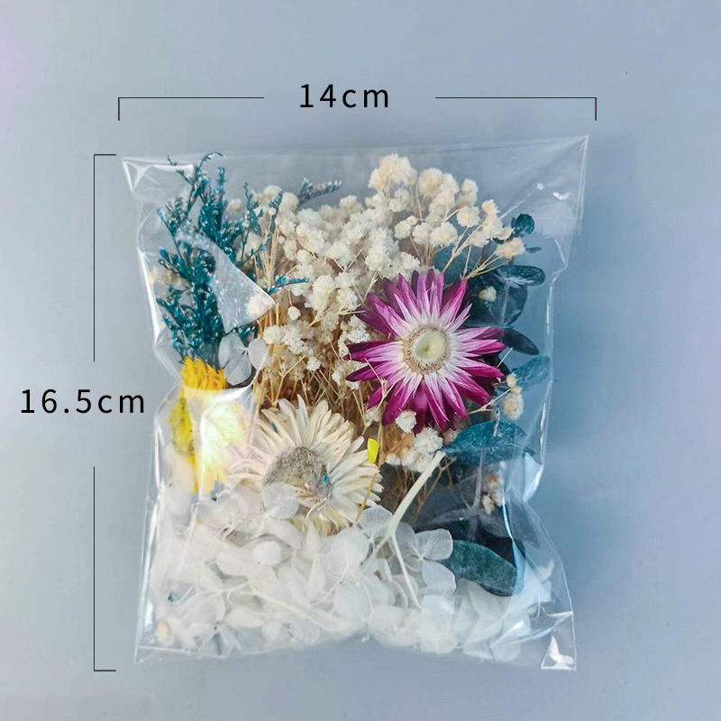 1pack Multifarious Dried Flowe - مراجعة Dried Flower Bulk وسعره