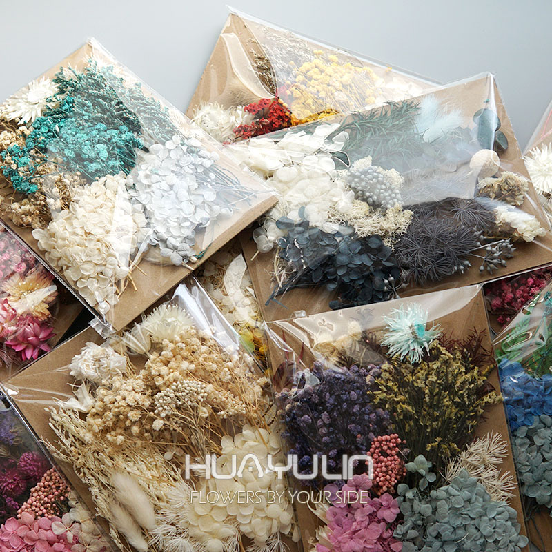 1 Pack Artificial Plants Dried - مراجعة Flower Preservation Resin وسعره