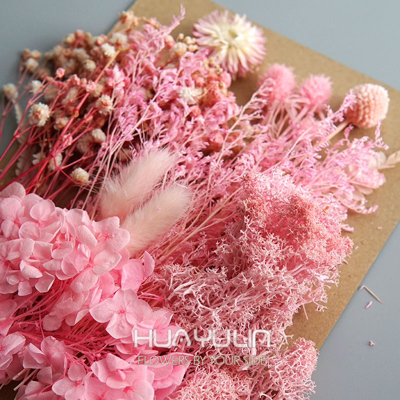1 Pack Artificial Plants Dried - مراجعة Flower Preservation Resin وسعره