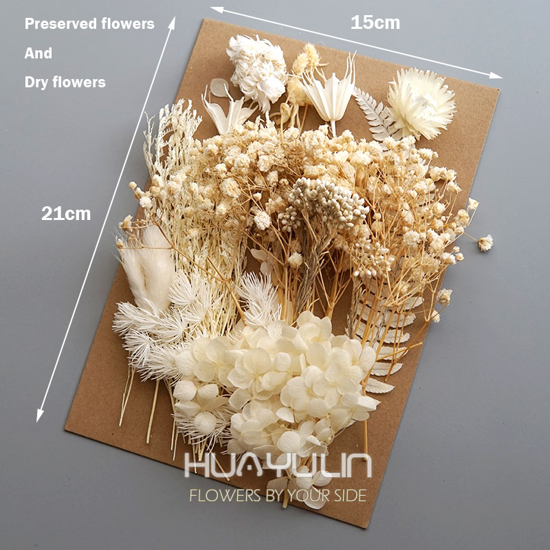 1 Pack Artificial Plants Dried - مراجعة Flower Preservation Resin وسعره