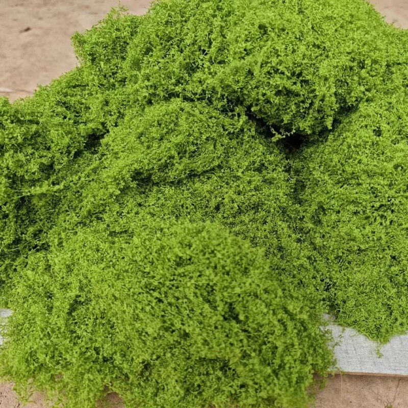 30g Fake Moss Artificial Green - مراجعة Terrarium Moss Art وسعره