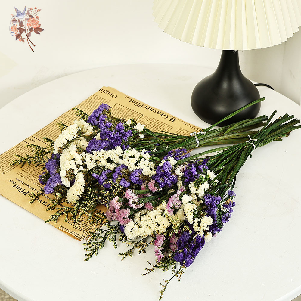 100g Natural Real Forget-me-no - مراجعة Dried Flower Bulk وسعره