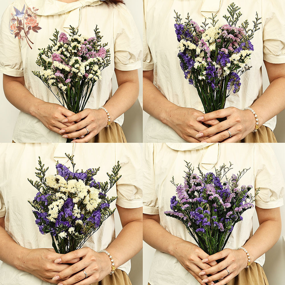 100g Natural Real Forget-me-no - مراجعة Dried Flower Bulk وسعره