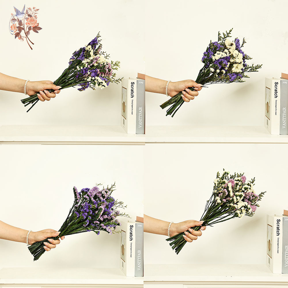 100g Natural Real Forget-me-no - مراجعة Dried Flower Bulk وسعره