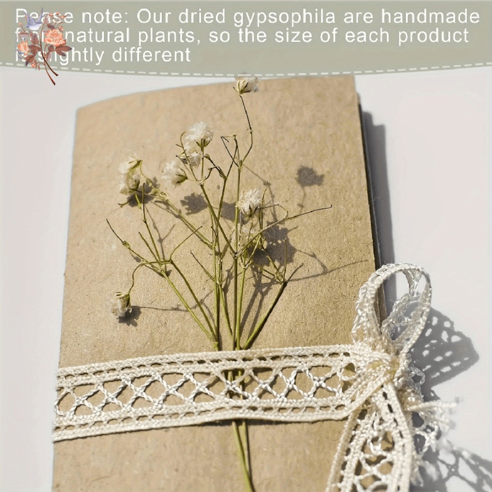 100pcs Mini Dried Baby's Breat - مراجعة Dried Flower Bulk وسعره